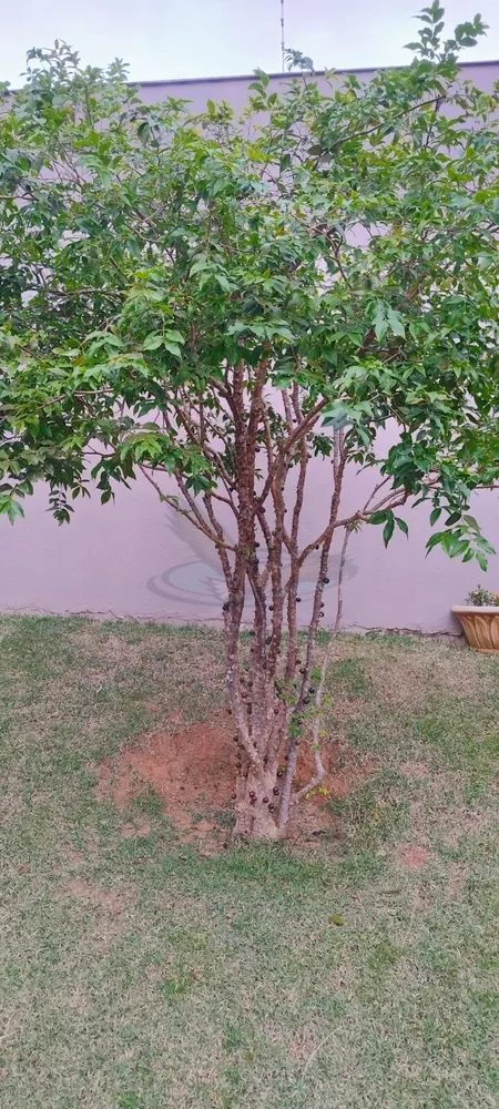 Casa, 3 quartos, 203 m² - Foto 3