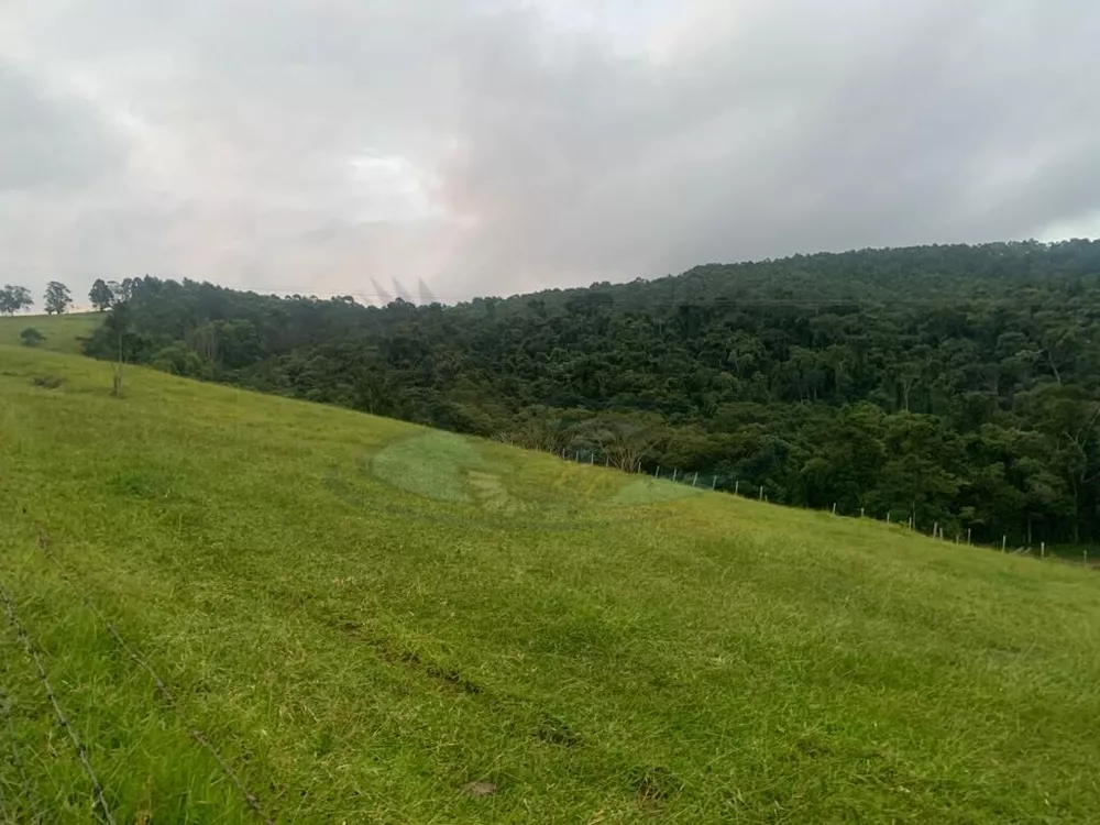 Sítio, 3 quartos, 16 hectares - Foto 3