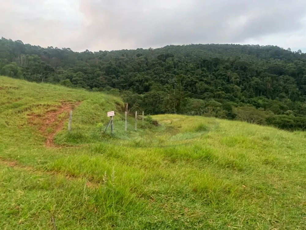 Sítio, 3 quartos, 16 hectares - Foto 6