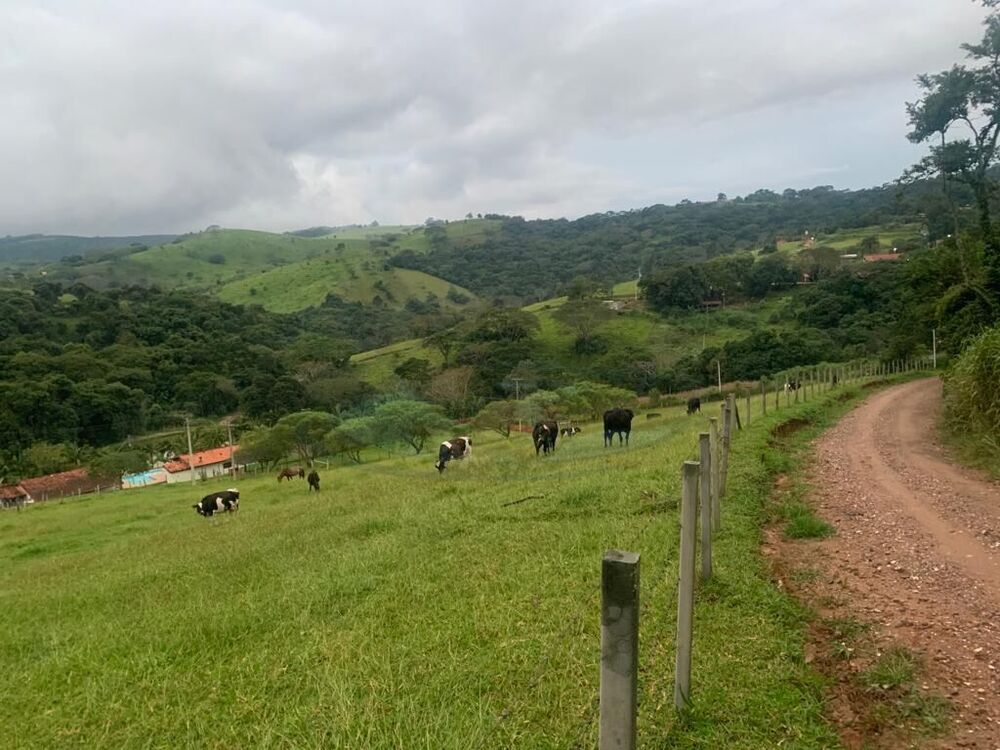 Sítio à venda com 3 quartos, 156000m² - Foto 2