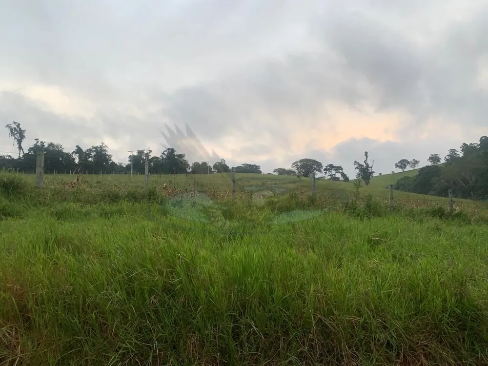 Sítio, 3 quartos, 16 hectares - Foto 4