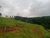 Sítio, 3 quartos, 16 hectares - Foto 4