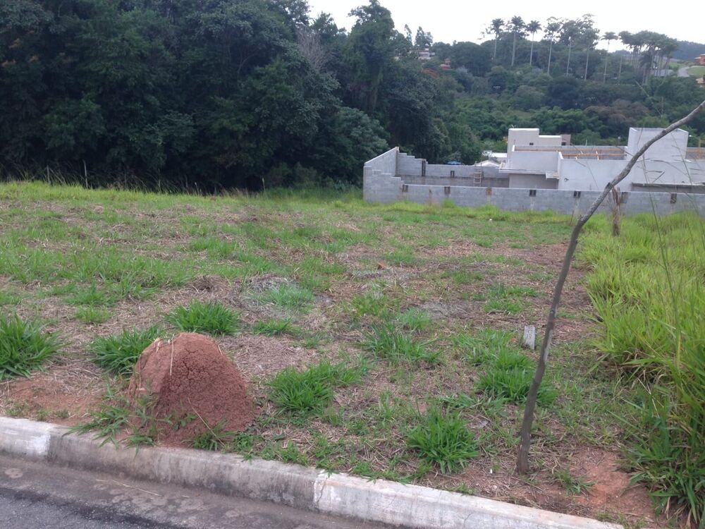 Terreno, 250 m² - Foto 3