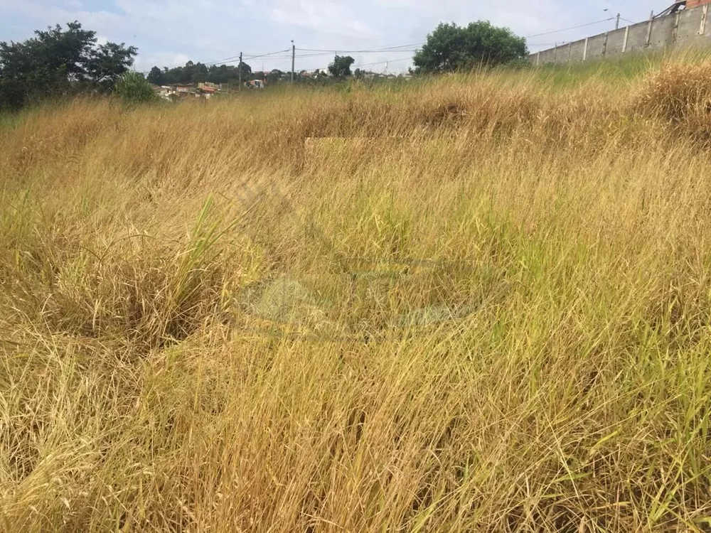 Terreno, 250 m² - Foto 5