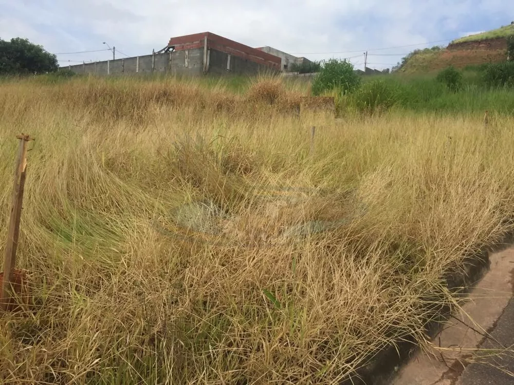 Terreno, 250 m² - Foto 7