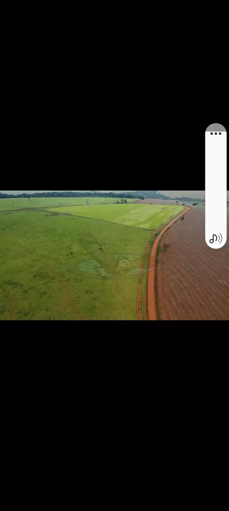 Fazenda, 218 hectares - Foto 7