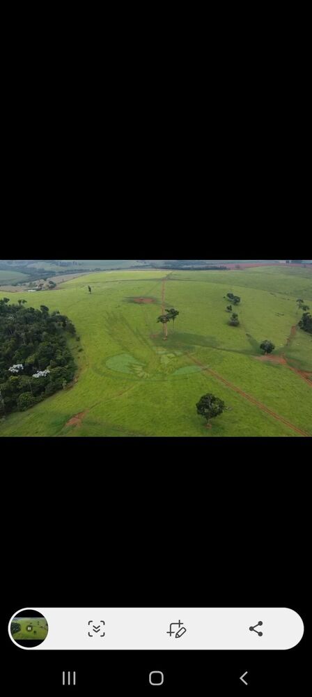Fazenda, 218 hectares - Foto 10