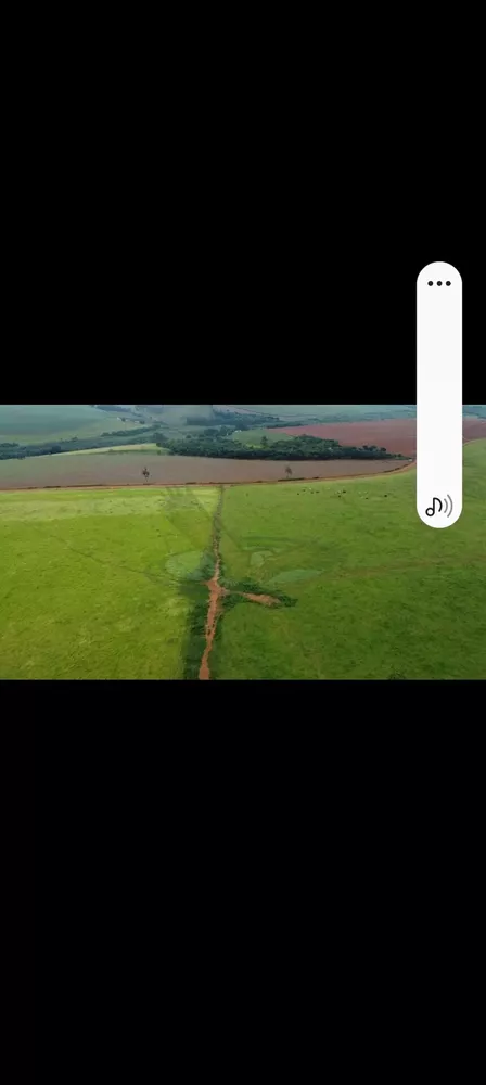 Fazenda, 218 hectares - Foto 4