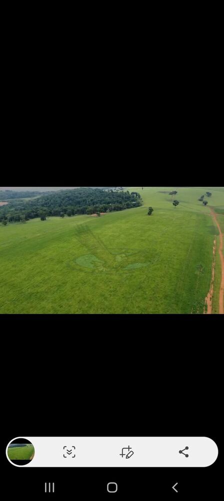 Fazenda, 218 hectares - Foto 9