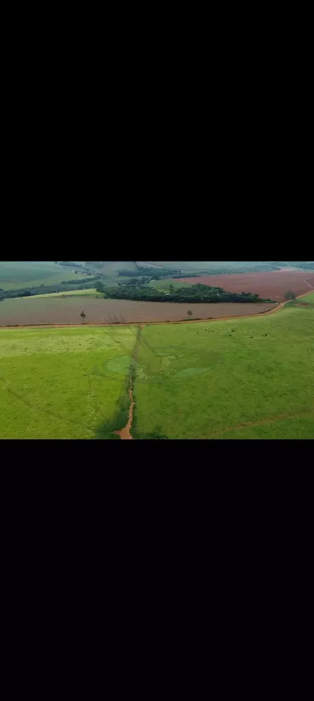 Fazenda, 218 hectares - Foto 6