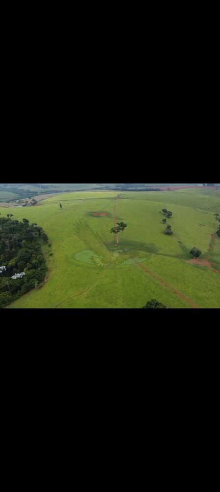 Fazenda, 218 hectares - Foto 11