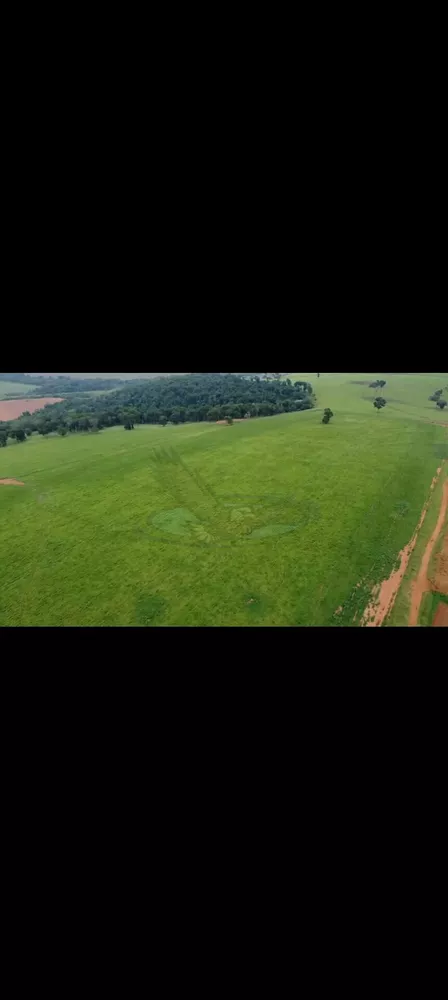 Fazenda, 218 hectares - Foto 8