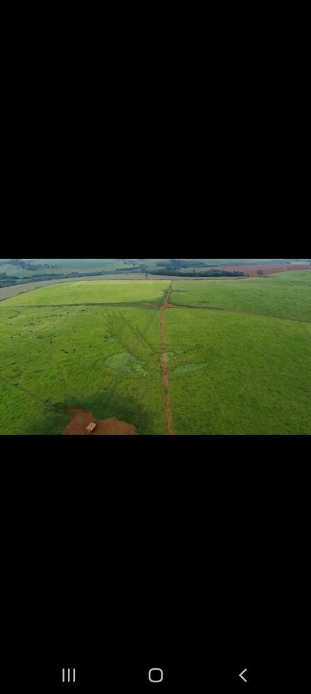 Fazenda, 218 hectares - Foto 12