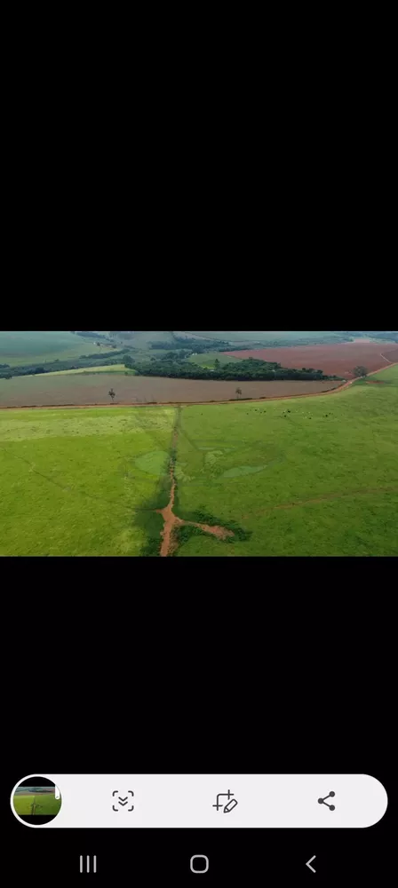 Fazenda, 218 hectares - Foto 5