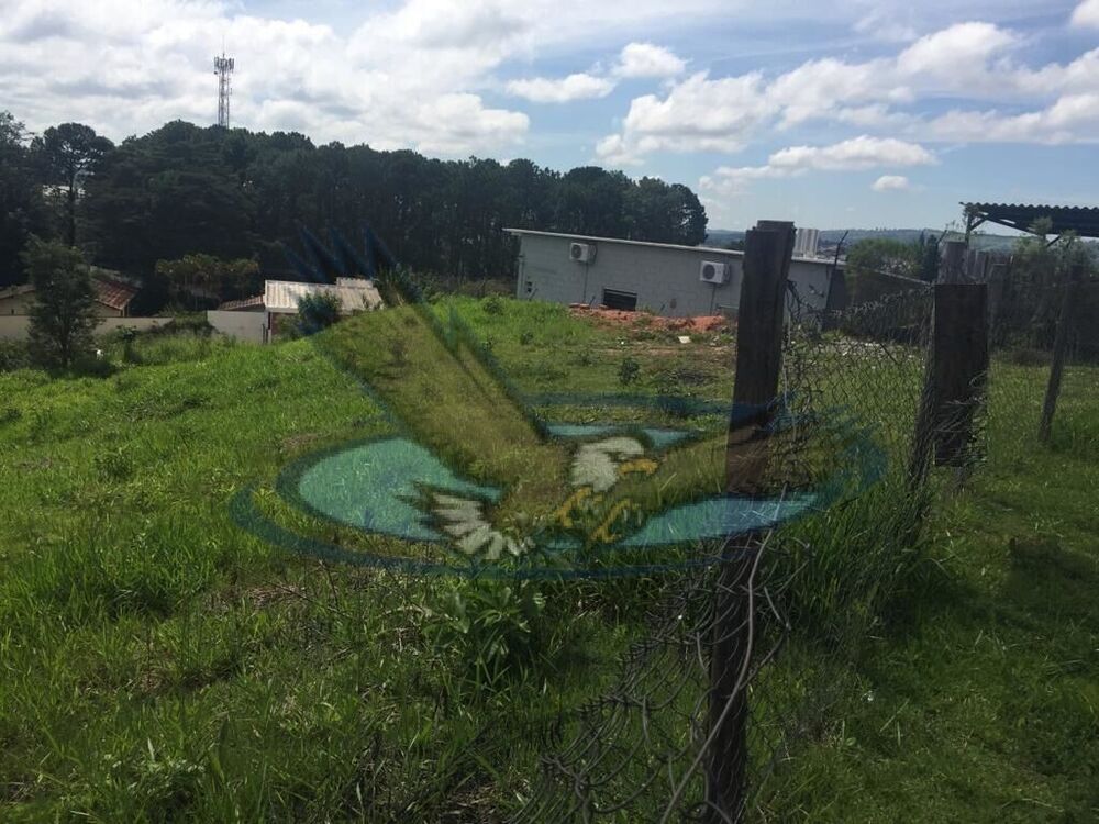 Terreno, 530 m² - Foto 16