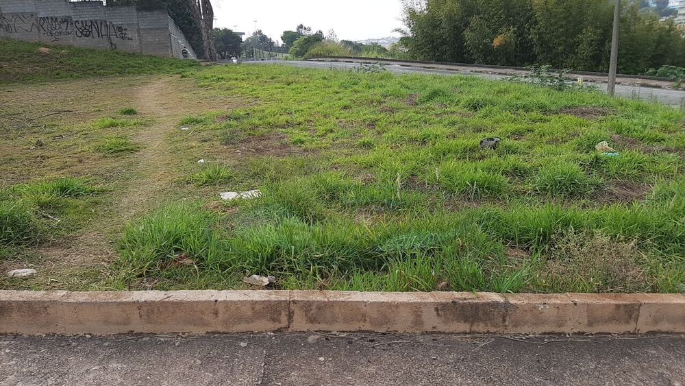 Terreno, 1245 m² - Foto 4