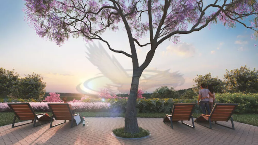 Terreno, 250 m² - Foto 5