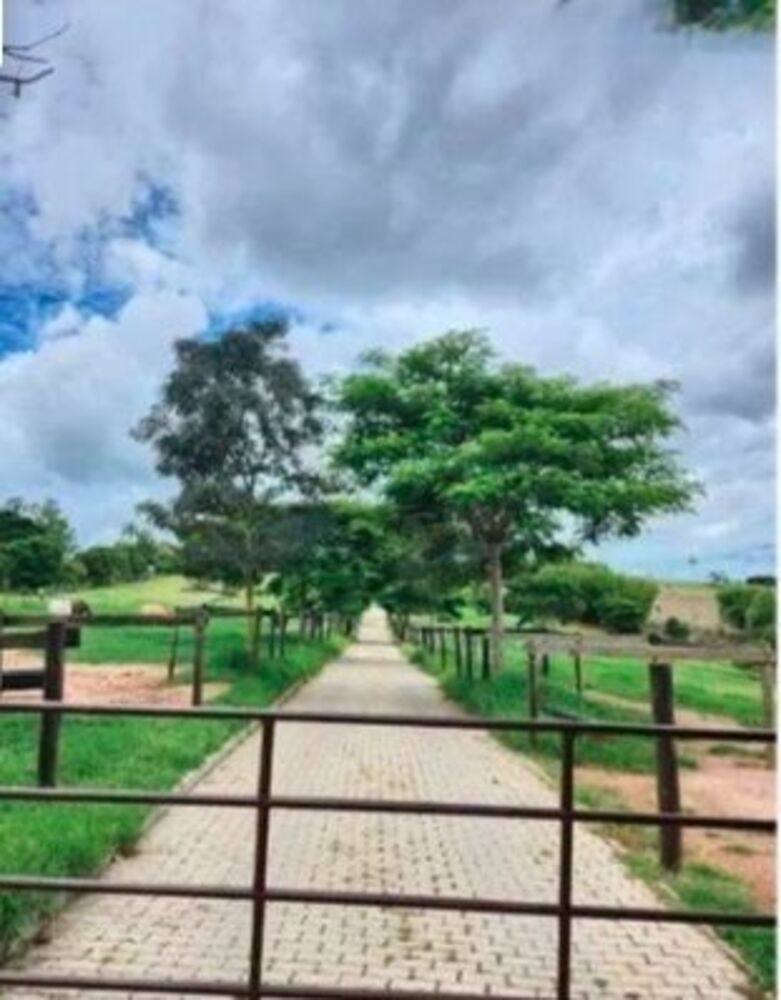 Fazenda à venda com 4 quartos, 132000m² - Foto 3