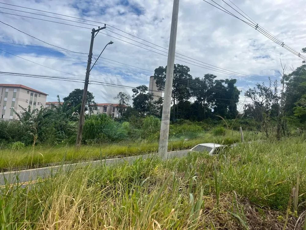 Terreno, 2500 m² - Foto 2