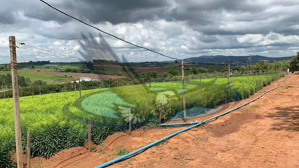 Fazenda à venda com 2 quartos, 120600m² - Foto 16