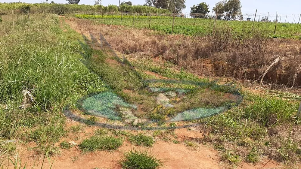 Fazenda à venda com 2 quartos, 120600m² - Foto 6