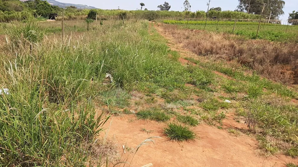 Terreno, 12 hectares - Foto 19