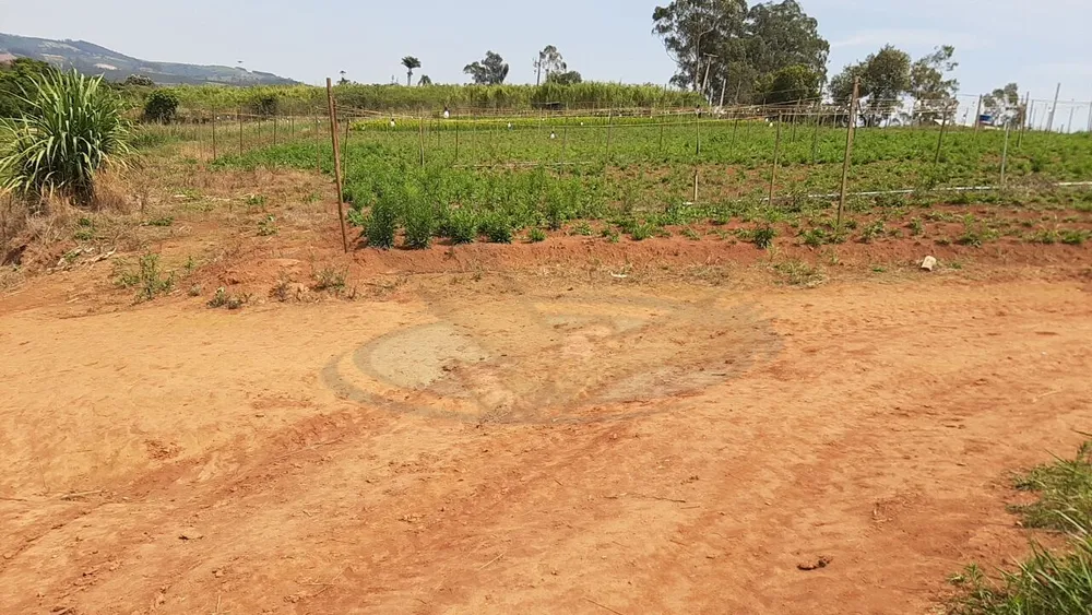 Terreno, 12 hectares - Foto 21