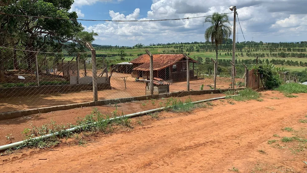 Terreno, 12 hectares - Foto 18