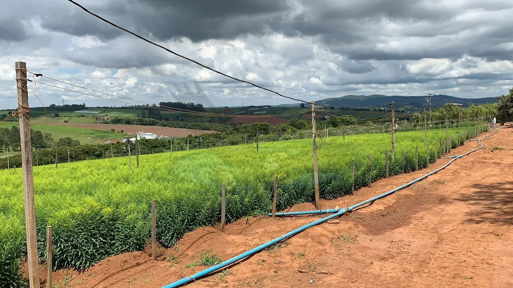 Terreno, 12 hectares - Foto 32