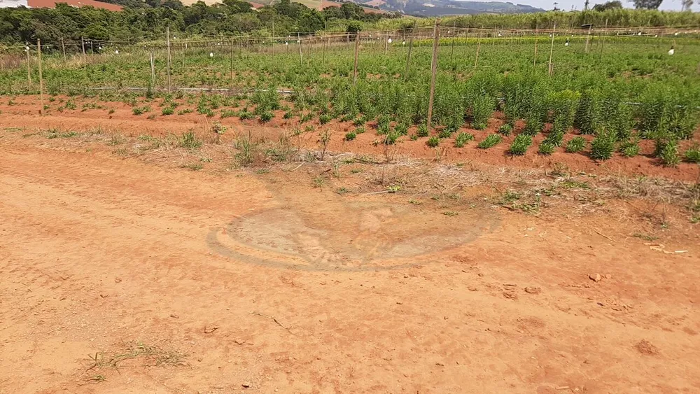 Terreno, 12 hectares - Foto 28