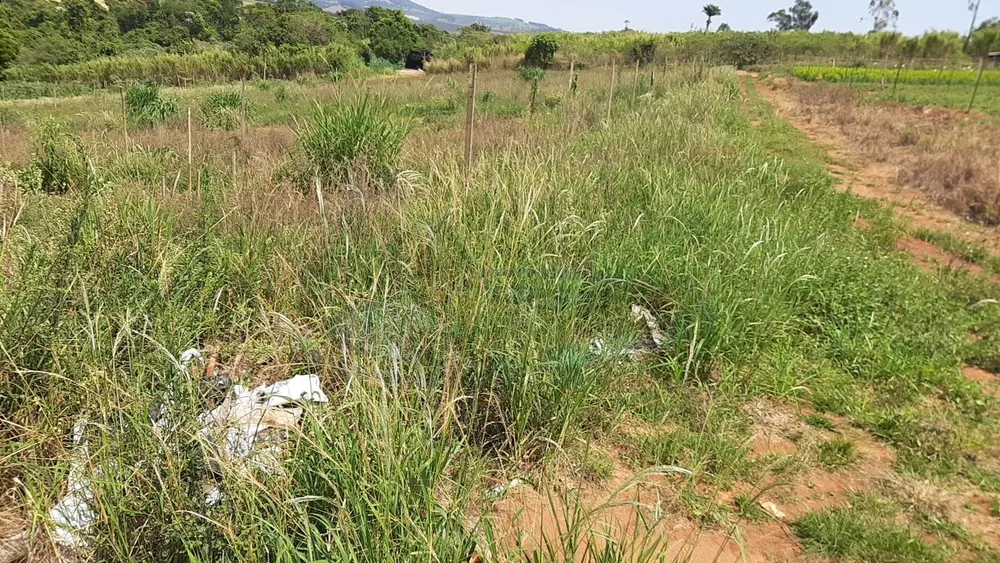 Terreno, 12 hectares - Foto 18