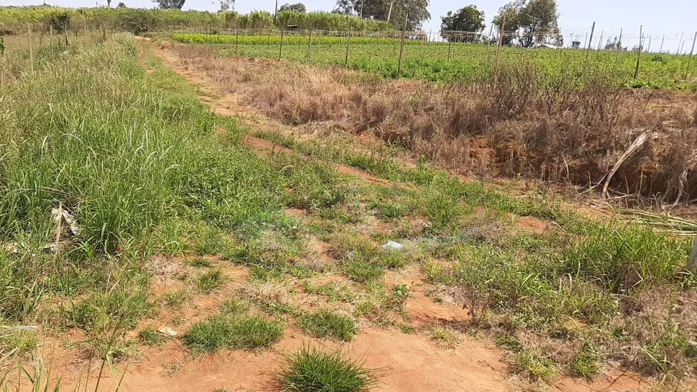 Terreno, 12 hectares - Foto 22