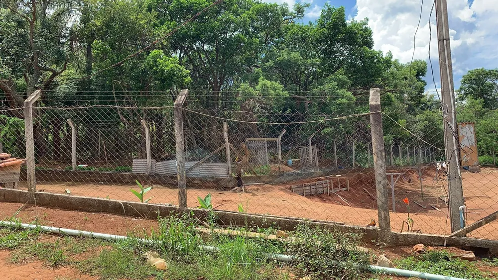 Terreno, 12 hectares - Foto 26
