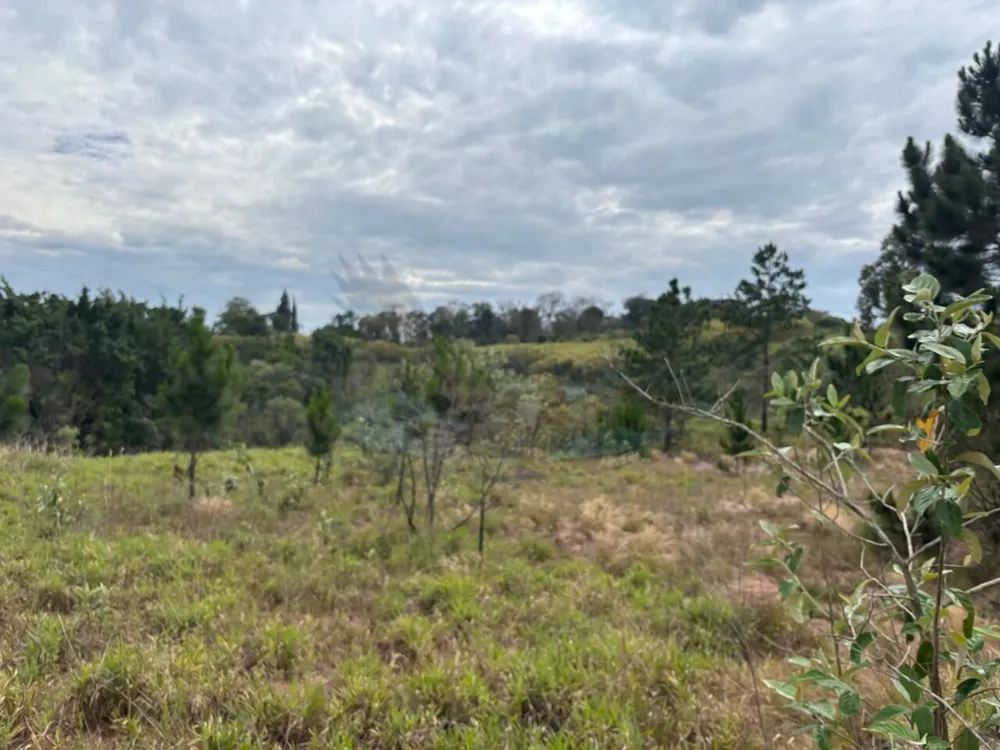 Loteamento e Condomínio, 2 hectares - Foto 8
