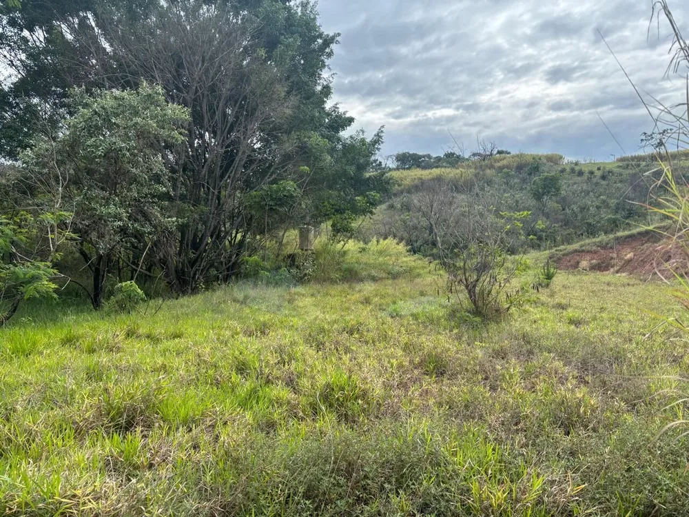 Loteamento e Condomínio, 2 hectares - Foto 4