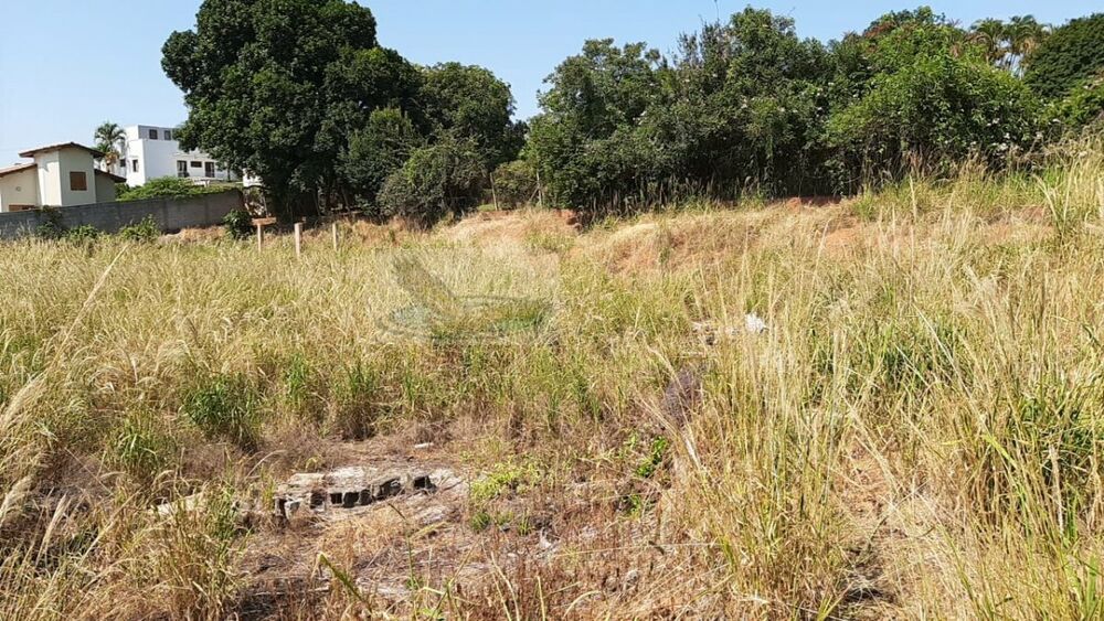 Terreno, 1500 m² - Foto 4