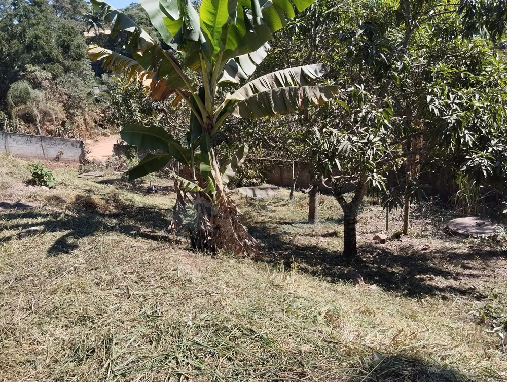 Terreno, 1020 m² - Foto 5