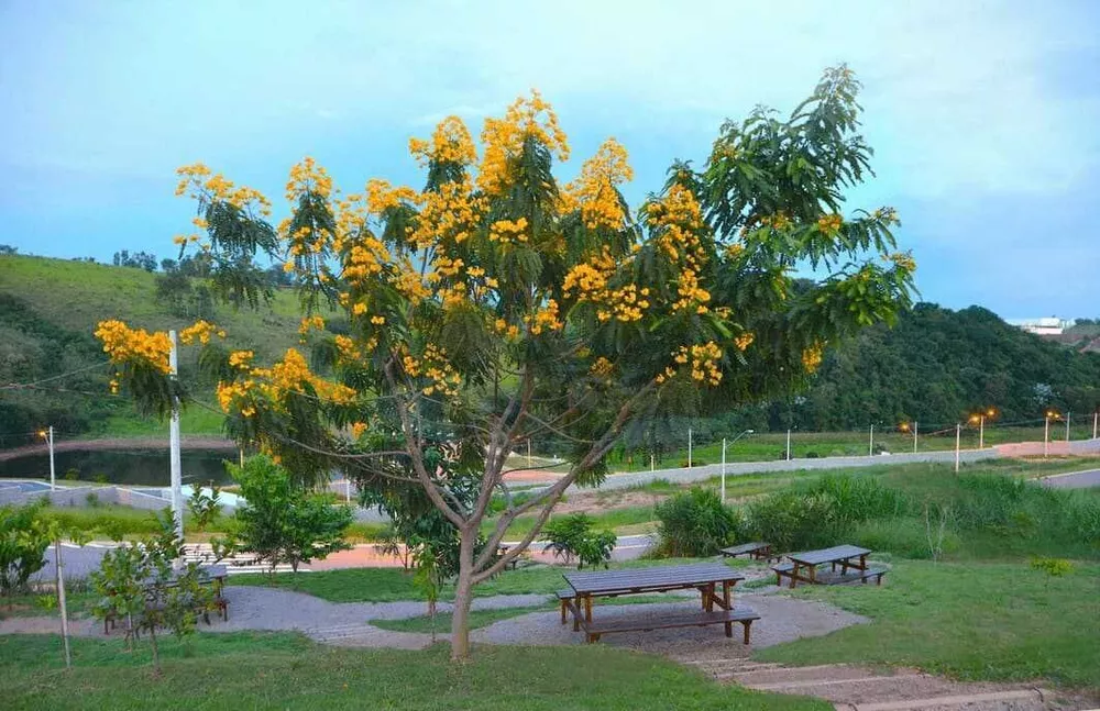 Terreno, 380 m² - Foto 2