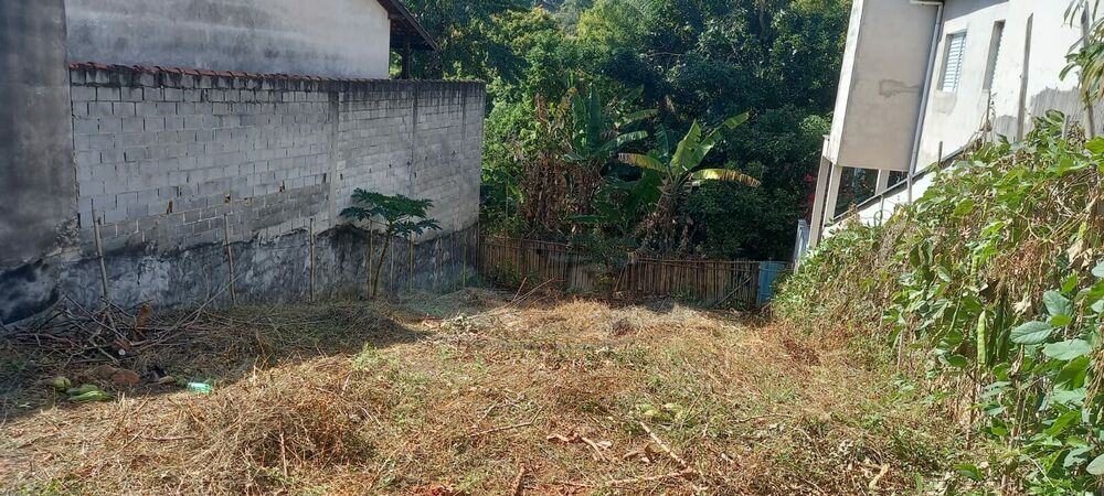 Terreno à venda, 250m² - Foto 4