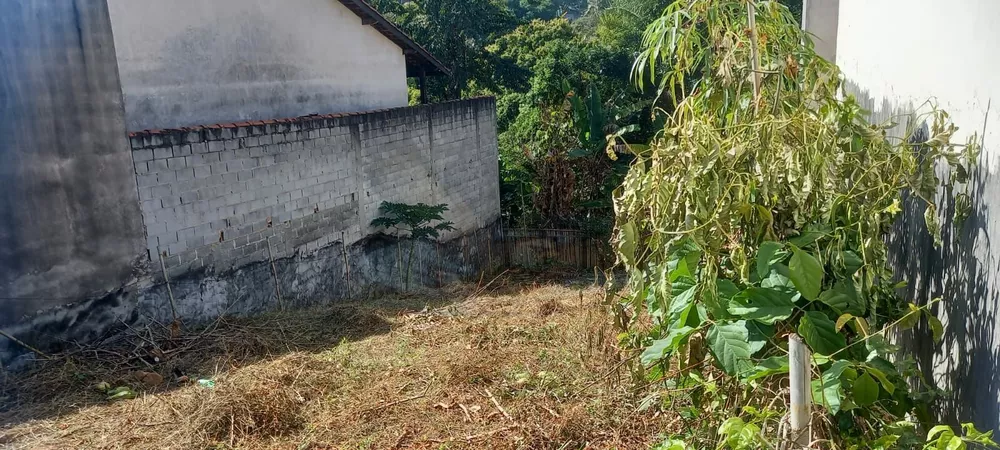 Terreno, 250 m² - Foto 5