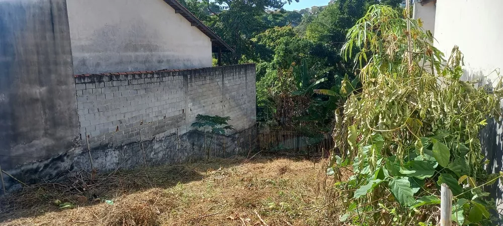 Terreno, 250 m² - Foto 1