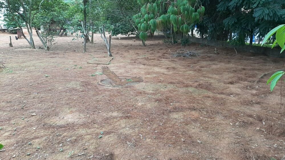 Terreno, 1750 m² - Foto 4