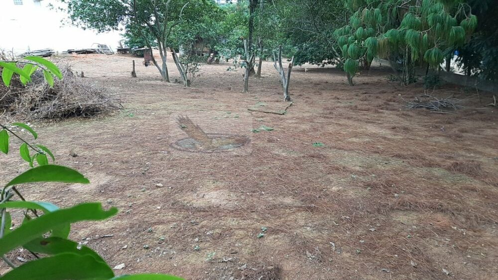 Terreno, 1750 m² - Foto 1