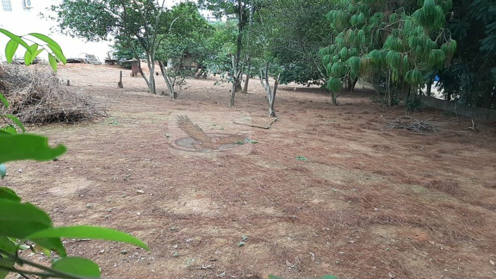 Terreno, 1750 m² - Foto 7