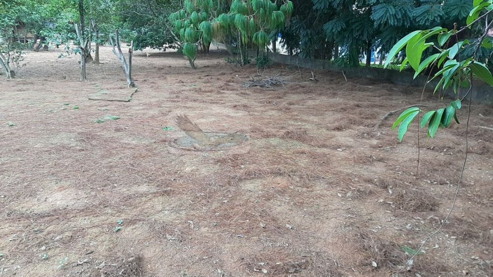 Terreno, 1750 m² - Foto 8