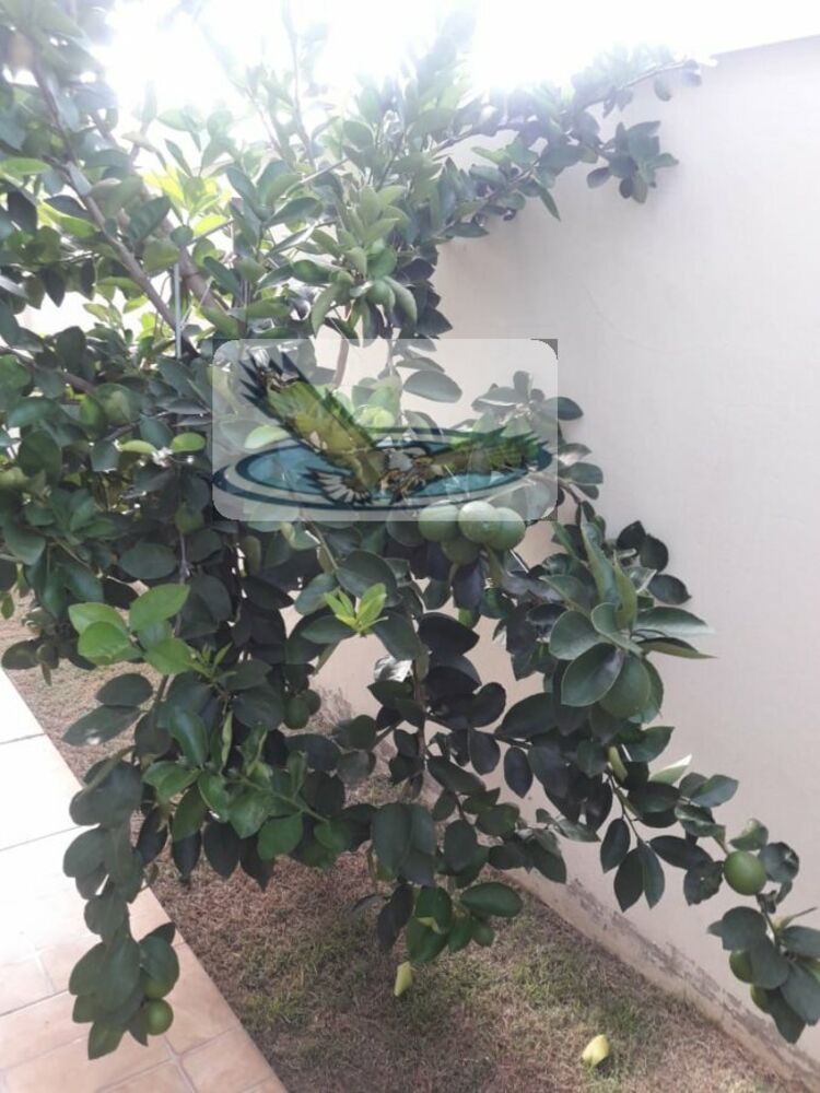 Sobrado, 3 quartos, 240 m² - Foto 16