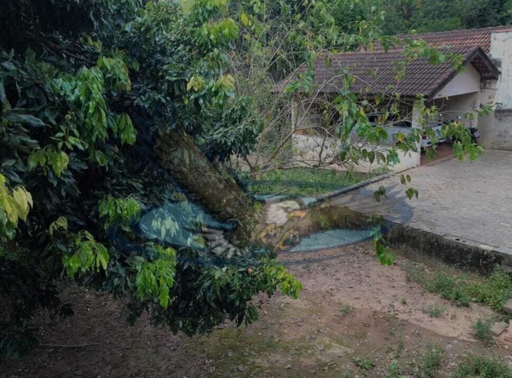 Chácara à venda com 3 quartos, 1000m² - Foto 3