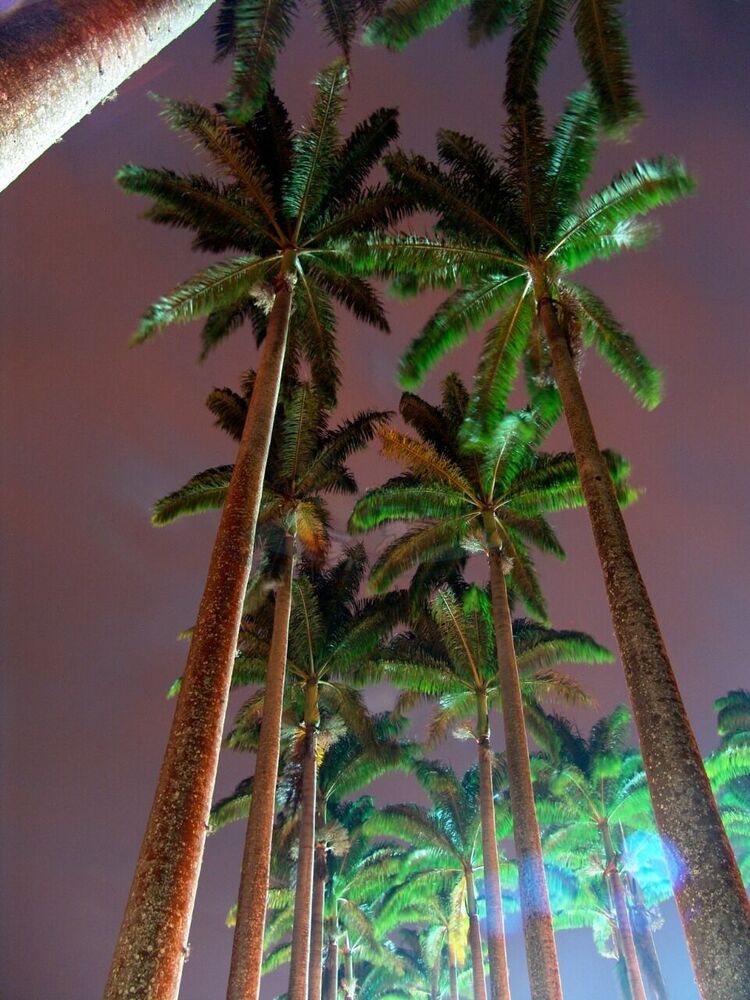 Terreno, 1001 m² - Foto 4