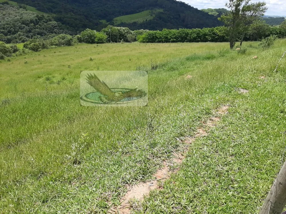 Sítio, 3 quartos, 2 hectares - Foto 19
