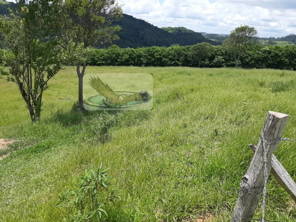 Sítio, 3 quartos, 2 hectares - Foto 15